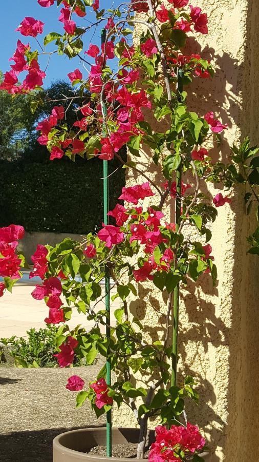 La Demeure D'Helice Bed & Breakfast Langlade Dış mekan fotoğraf